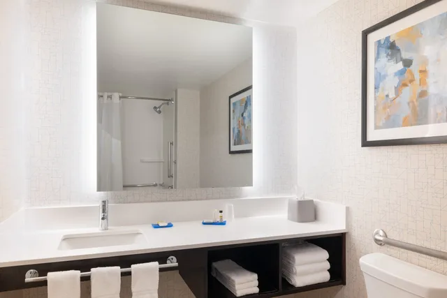 غرفة قياسية بسرير كينج لذوي الإعاقة، Holiday Inn Express & Suites Boston - Cambridge 2/3