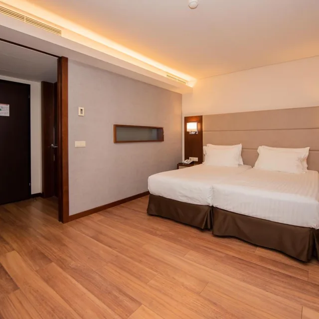 1 Bedroom, Apartment, Eurostars Oporto 1/9