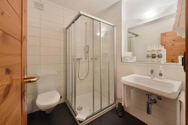 غرفة اقتصادية مفردة، Hotel Schweizerhof Lenzerheide 1/2