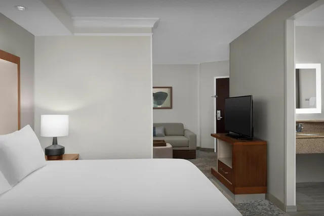 استوديو بسرير كينج مع أريكة بحوض استحمام لذوي الإعاقة، Springhill Suites By Marriott Lynchburg Airport/University Area 1/8