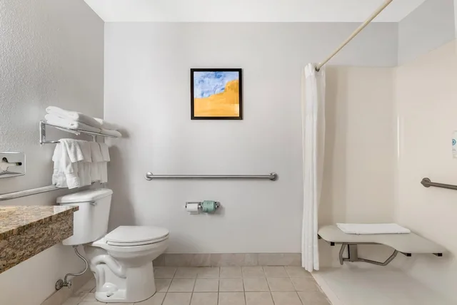 غرفة بسرير كينج لذوي الإعاقة، Comfort Inn Suites Suwanee Sugarloaf 6/6