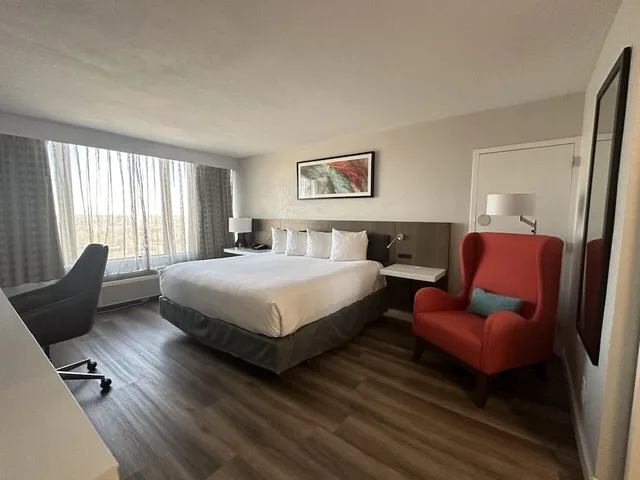 Junior Suite, King Bed, Sofa, Wyndham Garden Norfolk Downtown 3/10