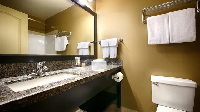 Standard, Queen Bed, Small, Best Western Plus Baker Street Inn 6/9