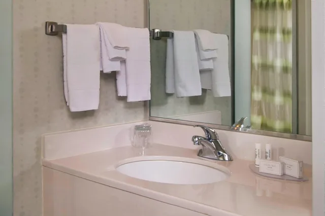 جناح استوديو بسريرين مزدوجين، SpringHill Suites Raleigh-Durham Airport/Research Triangle Park 3/3