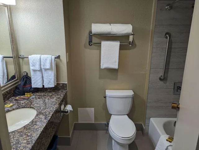 غرفة قياسية بسرير كينج وسرير كوين، Best Western Plus Toronto Airport Hotel 4/5