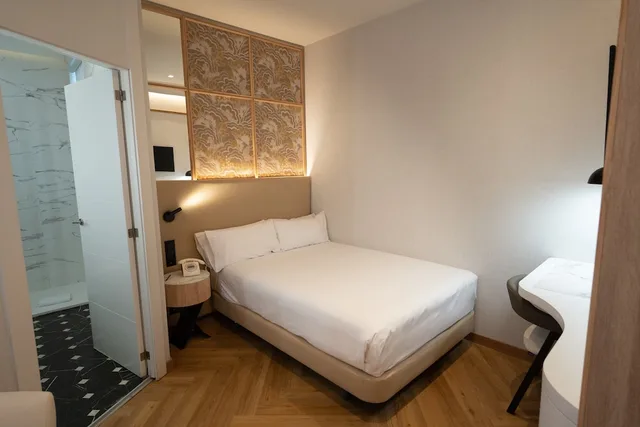 غرفة ديلوكس مفردة بسرير مزدوج، Petit Palace Chueca 1/5