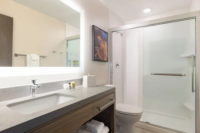 جناح استوديو بسرير فردي، Candlewood Suites Navasota By IHG 5/6