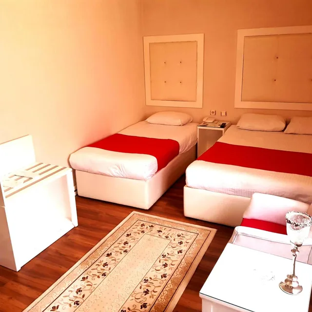 غرفة قياسية بسرير مزدوج أو سريرين منفصلين، Business Park Otel 5/8