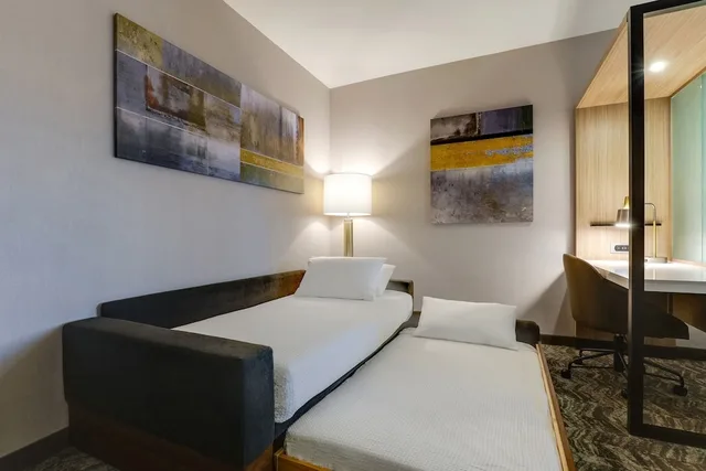 غرفة بسرير كينج لذوي الإعاقة، SpringHill Suites by Marriott Cheraw 1/6