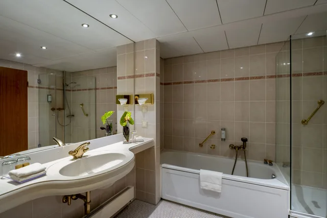جناح مفرد، MARITIM HOTEL MAGDEBURG 2/3