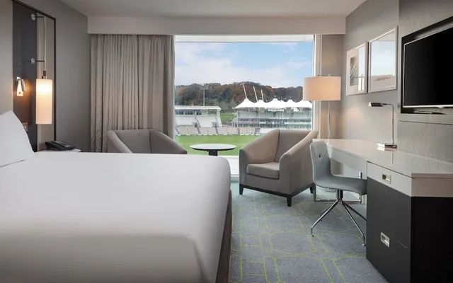 Deluxe, King Bed, Plunge View, Balcony، Hilton Southampton - Utilita Bowl 1/10