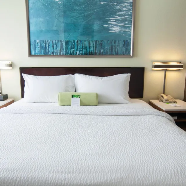 استوديو بسرير كينج مع سرير سحّاب إضافي مع أريكة، Springhill Suites Pittsburgh Monroeville 1/1