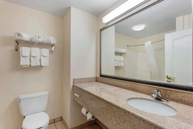 غرفة قياسية بسرير كينج، Comfort Inn & Suites Dover near Speedway 4/4