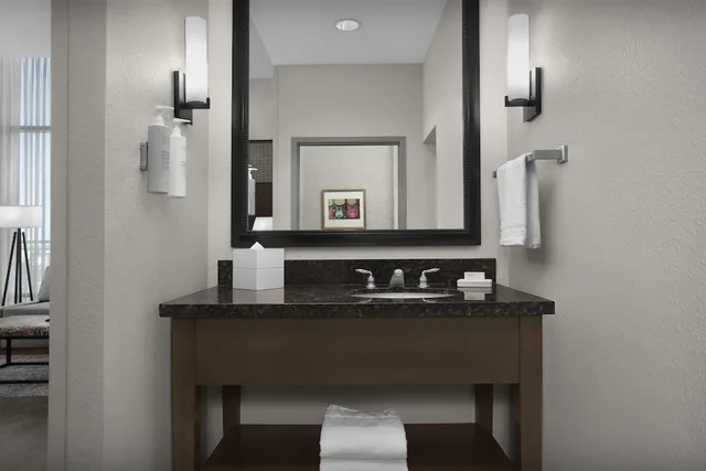 جناح بسرير كينج بشرفة، Hampton Inn & Suites Austin At The University / Capitol 9/10