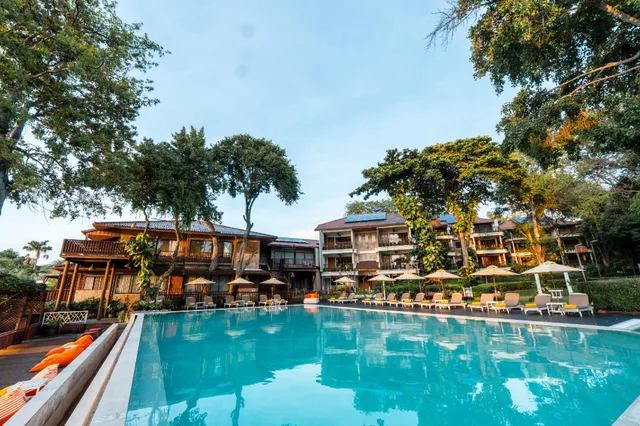 1 Bedroom, Tree Top, Suite، Birds & Bees Resort 1/1