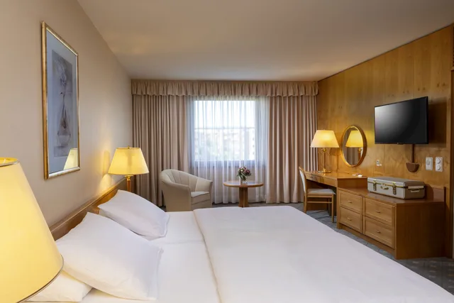 جناح مفرد، MARITIM HOTEL MAGDEBURG 1/3