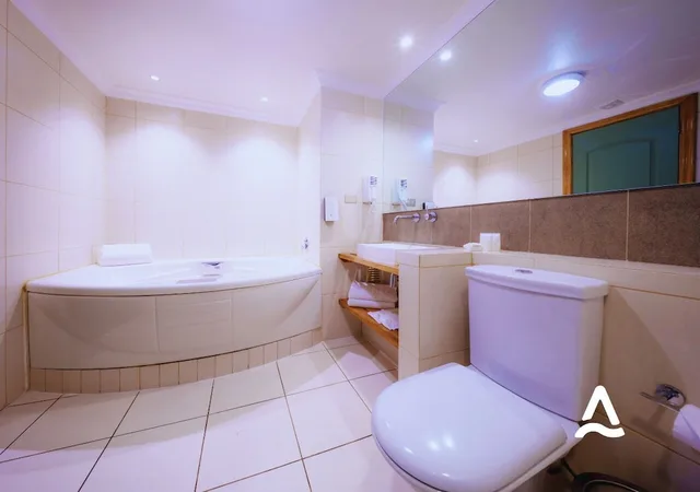 Junior Suite, Studio, King Bed, Hotel Almasur Punta Arenas 4/4