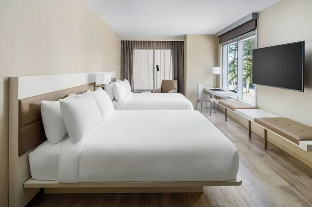 Studio, Multiple Beds, AC Hotel St. Petersburg 2/3
