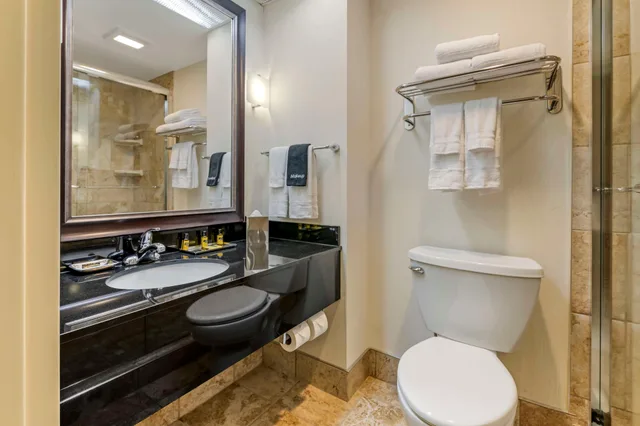Room, Double Bed, Best Western Plus Inntowner Madison 4/4