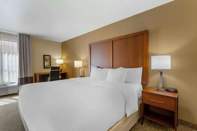 جناح بسرير كينج، Comfort Inn Green Valley 2/5