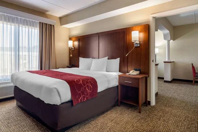 جناح تنفيذي بسرير كينج، Comfort Suites Woodstock - Atlanta North 2/6