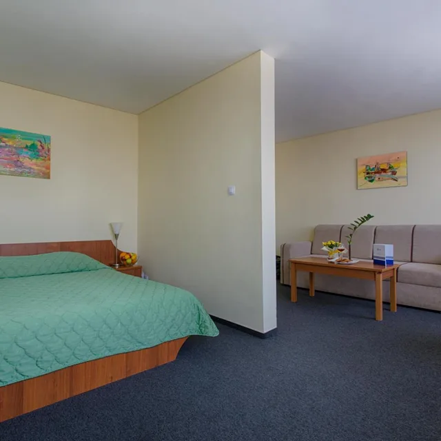 جناح جونيور بسرير مزدوج، Hemus Hotel Sofia 3/5