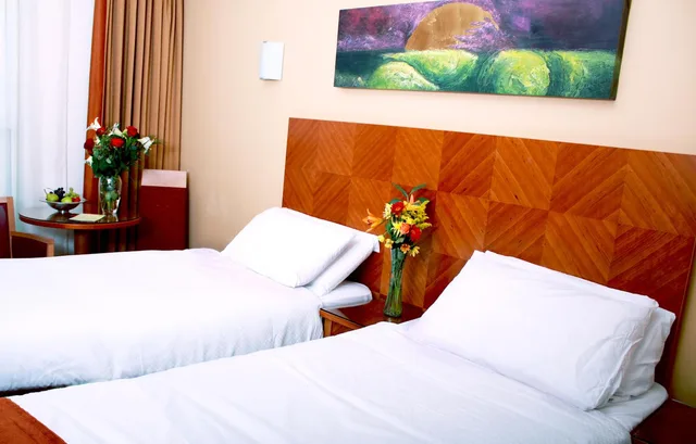 غرفة بسريرين منفصلين، Treacys Hotel Waterford 3/3