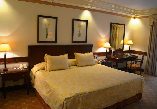 جناح جونيور بسرير كينج، Olissippo Lapa Palace 3/3