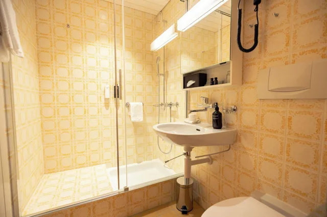 Room, Double Bed, Forest View، Hotel Jungfraublick Ag 4/4