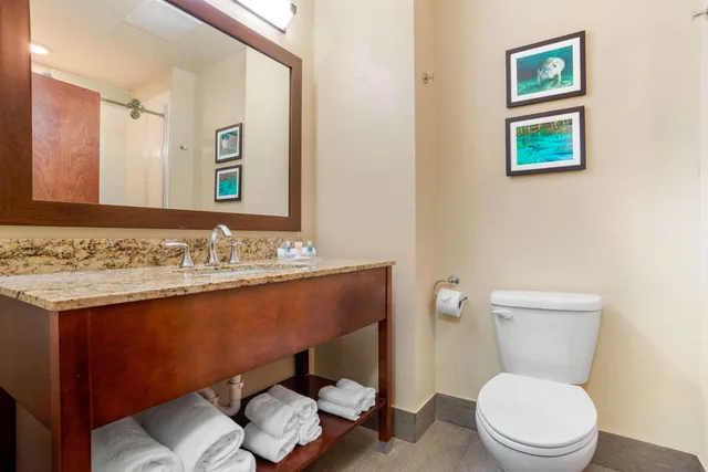 غرفة بسرير كينج، Comfort Suites Tallahassee Capitol - University Area 6/8