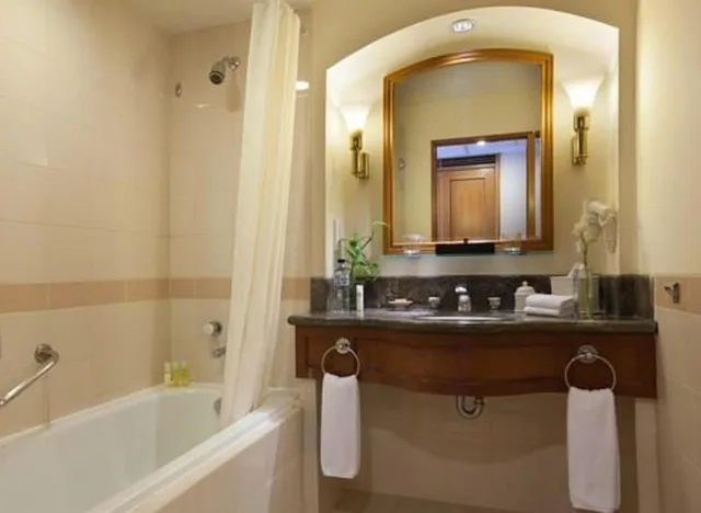 غرفة ديلوكس بسرير فردي بشرفة، Hyatt Regency Yogyakarta 2/3