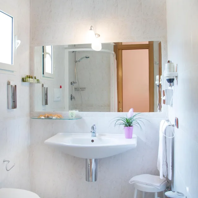 غرفة قياسية بسرير مزدوج أو سريرين منفصلين بشرفة، Garden Hotel Ripa 9/9