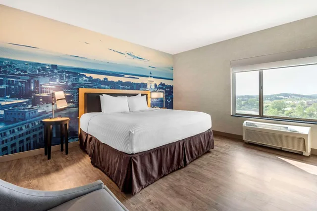 جناح بسرير كينج بغرفة نوم واحدة مع أريكة، Cambria Hotel Madison East 3/5