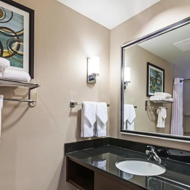 غرفة رباعية بسريرين كوين بحوض استحمام لذوي الإعاقة، Hilton Garden Inn The Colony Dallas 8/9