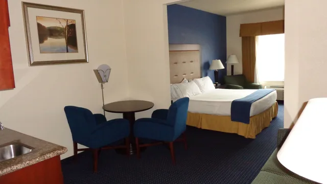 جناح بسرير كينج مع أريكة، Holiday Inn Express Suites New Buffalo 1/3