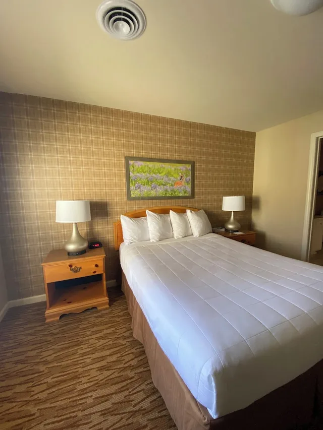 1 Bedroom, Premier, Suite, Queen Bed, Nature View, Sofa، Vacation Village At Berkshires 3/6