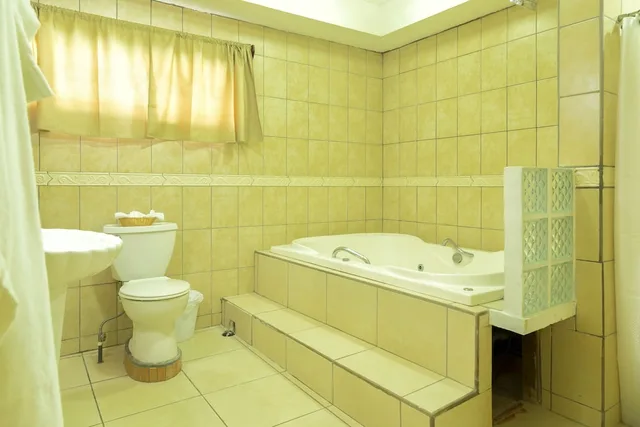 Presidential, Suite, Queen Bed, Pool View, Hotel Cordoba 4/4