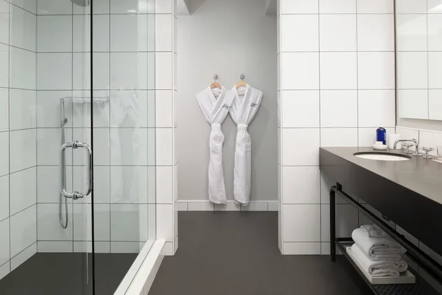 Loft, Luxury, Suite, King Bed، Fordson Hotel Unbound Collection by Hyatt 6/6