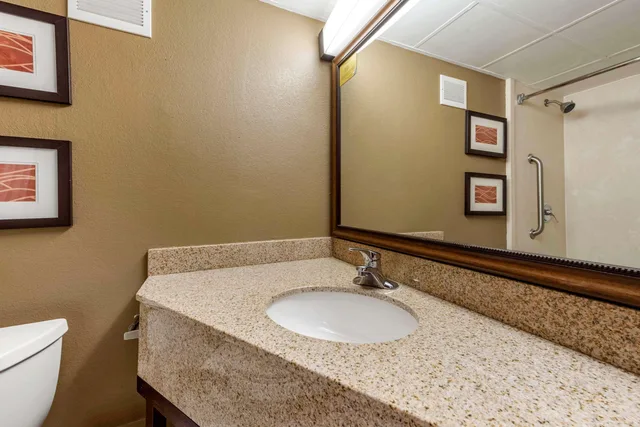 غرفة بسرير كوين، Comfort Inn & Suites Triadelphia - Wheeling 4/4