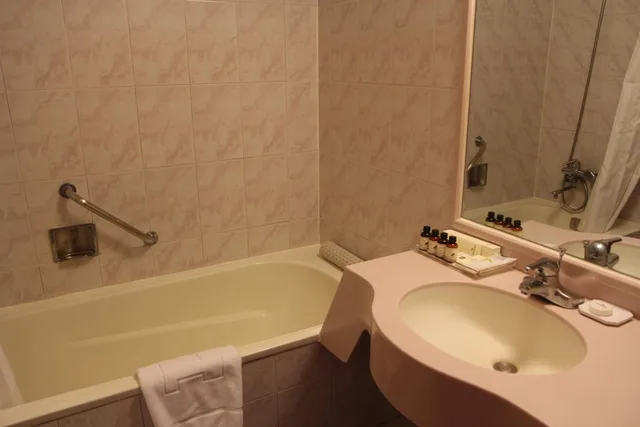 غرفة بسرير فردي، President Hotel Seoul 7/7