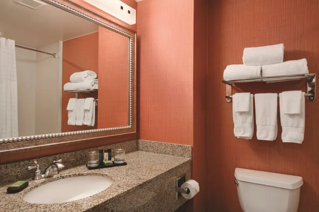 Special, Suite, King Bed، Embassy Suites by Hilton Hampton Convention Center 2/4