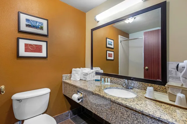 جناح بسرير كينج لذوي الإعاقة، Quality Suites Addison-Dallas 5/5
