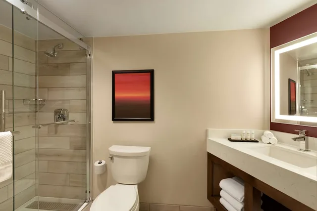 استوديو بسرير كينج مع أريكة، Embassy Suites By Hilton Phoenix Downtown North 2/2