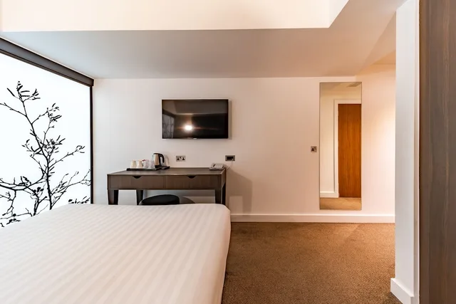 Deluxe, Double Bed, No Window، Central Park Hotel 1/4