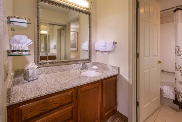 جناح سوبيريور بسرير كوين بغرفة نوم واحدة مع أريكة، Sonesta Es Suites Charlottesville University 2/2