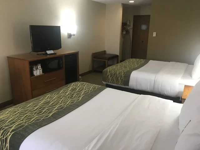 غرفة بسريرين كوين يُسمح فيها بالحيوانات الأليفة في الطابق الأرضي، Comfort Inn Millersburg, OH 4/9