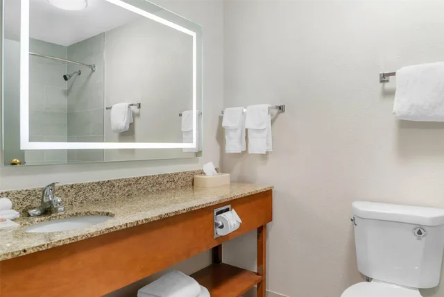 جناح بسريرين كوين، Comfort Suites Auburn Hills-Detroit 3/3