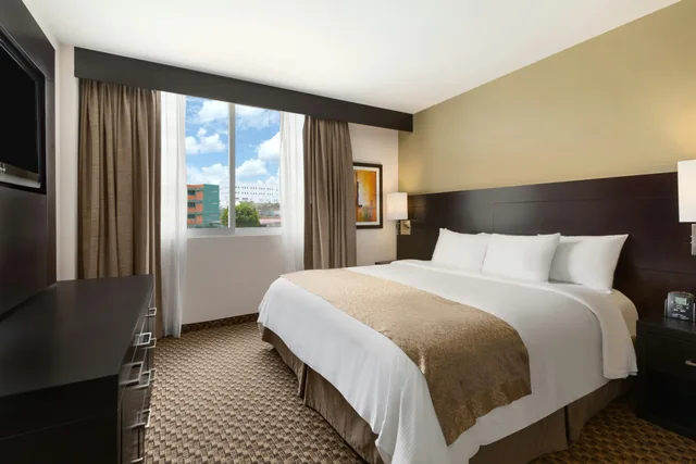 1 Bedroom, Suite, King Bed, DoubleTree by Hilton Hotel Queretaro 1/1