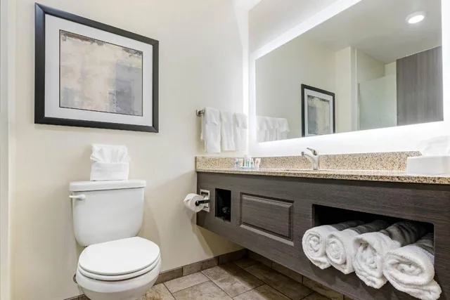 Upgrade, King Bed، Comfort Inn & Suites Medina NY near Erie Canal 2/2