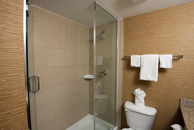 Room, King Bed, Accessible, Holiday Inn Express Suites Chatham South 3/4